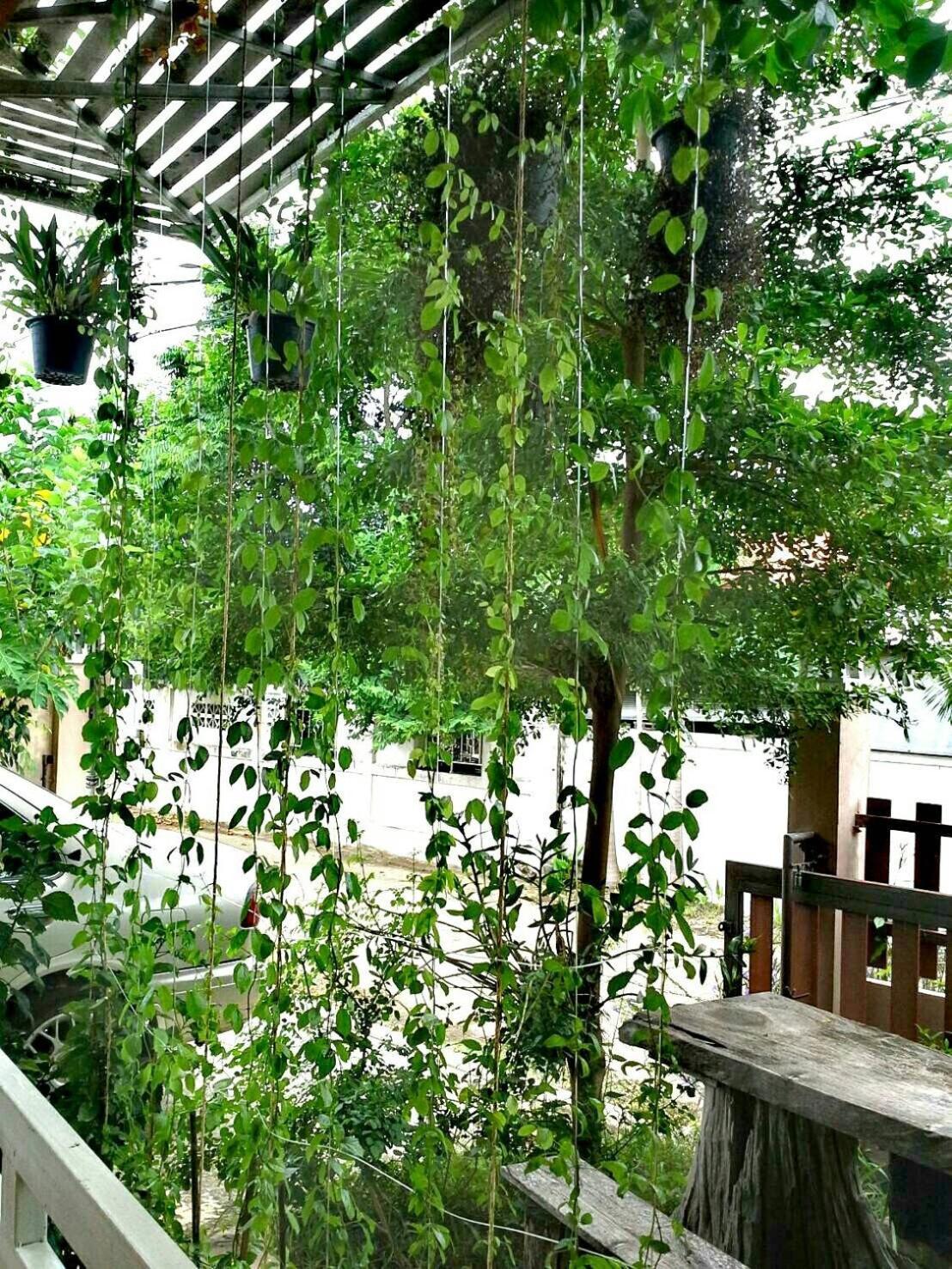 Lampang Lanna Home エクステリア 写真