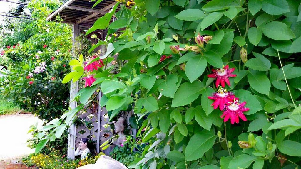 Lampang Lanna Home エクステリア 写真