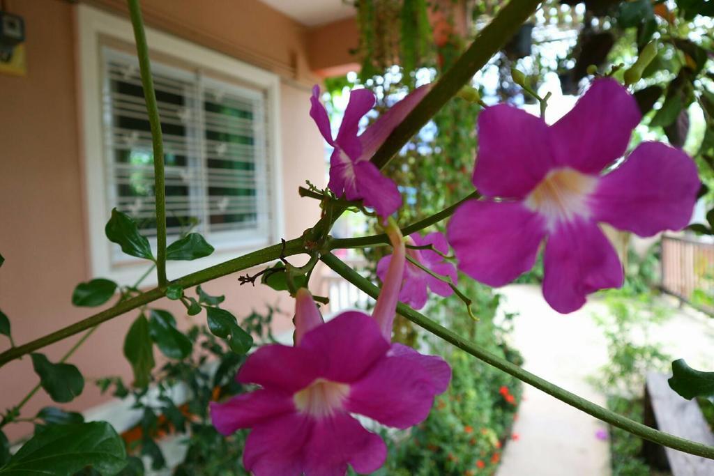 Lampang Lanna Home エクステリア 写真