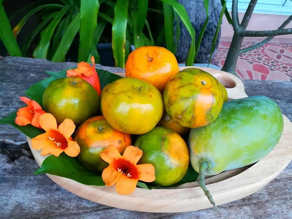 Lampang Lanna Home エクステリア 写真